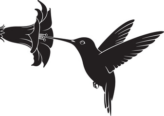 Obraz premium Black silhouette of a hummingbird flying and drinking from a flower