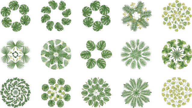 Green Leaf Mandala Patterns, Tropical Plant Designs, Nature Inspired Circles