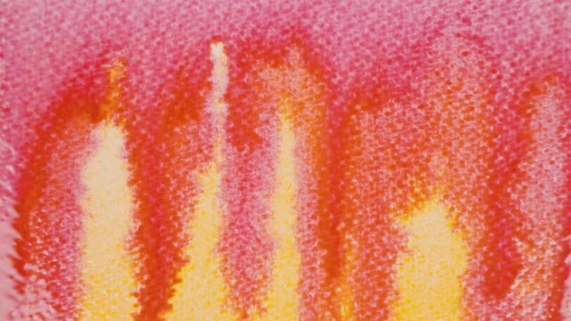 Close up of red watercolour drawing paints on paper. Artist draws with a brush, liquid analog effects for background with copy space for text in center. 