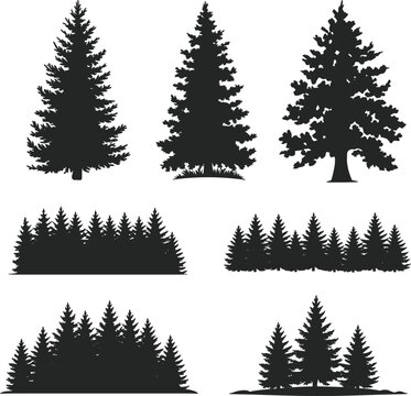 Collection of black pine tree silhouettes, including individual trees and forest borders fir tree conifer