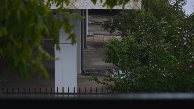 During rain, water pours out of storm drain pipes on basement floor of house. Cloudy weather and downpour shaking tree leaves near building on stilts against floods.