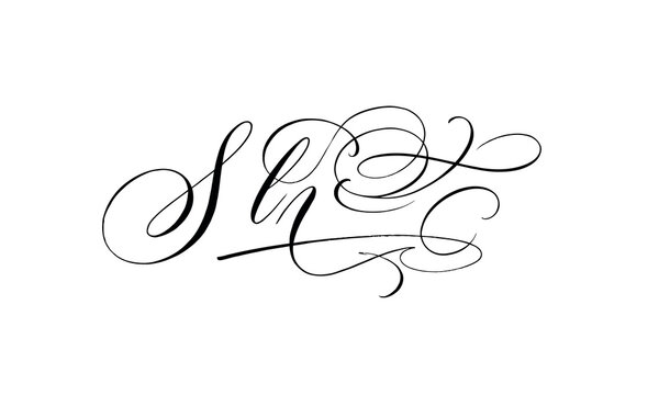 Elegant cursive signature style lettering s l g with decorative swirls isolated on transparent background, Vector, illustration silhouette line art