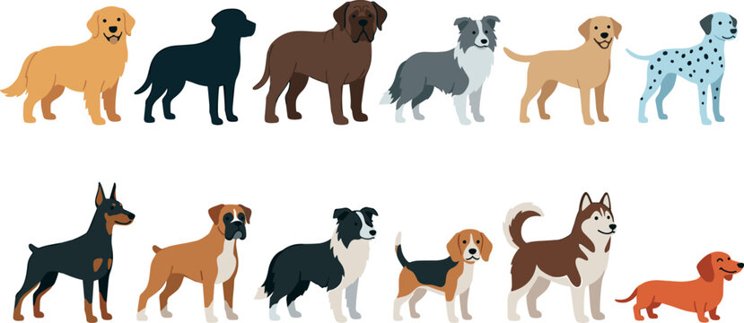 Dog Breed Illustration Set Featuring Various Breeds and Poses for Animal, Pet, and Cartoon Design Themes