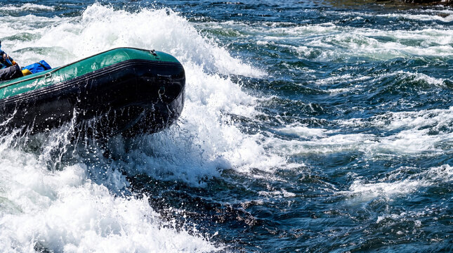 Rafter navigating turbulent river water in inflatable boat. Extreme water sport adventure. Active lifestyle, adrenaline rush during whitewater rafting trip in fast mountain river.