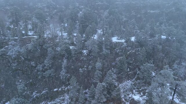 Aerial view from a drone of the mixed forests of fir, pine, and beech trees in the Pyrenees Mountains. Pyrenees. Navarre. Huesca. Aragon. Spain. Europe.