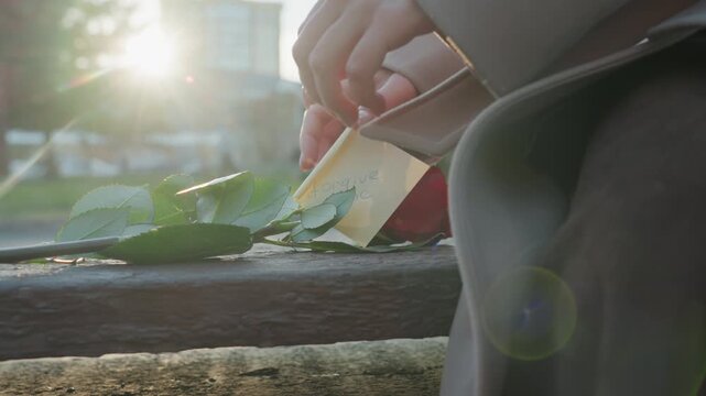 Backlit woman finds rose and note. Soft morning sunlight filters through urban skyline as woman in neutral coat and scarf lifts delicate red rose from bench, unfolds handwritten card, expression