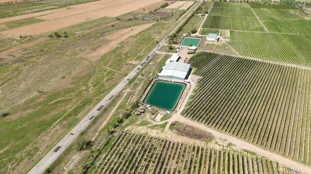 Aerial view of apple orchards with irrigation pond and storage hangars in Kazakhstan