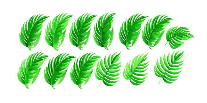 Stylized green tropical palm leaves collection, vector