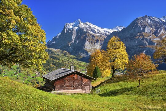 Alpine hut above Grindelwald, Mt Wetterhorn at the back, Grindelwald, Canton of Bern, Switzerland