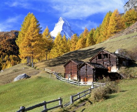 Wooden huts in front of larch trees with autumnal foliage and Mt Matterhorn, near Zermatt, Canton of Valais, Switzerland