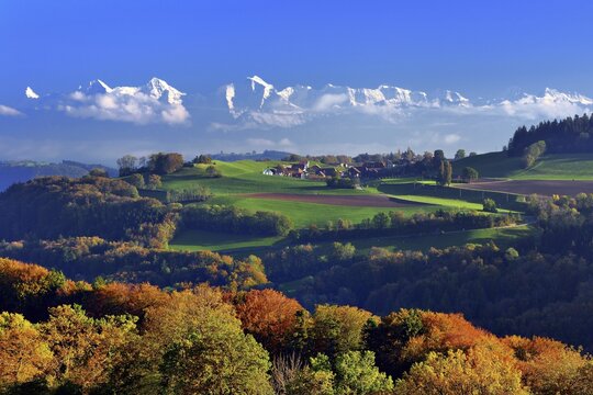 Englisberg, Canton of Berne, in the back Bernese Alps with Eiger, M&ouml;nch, Jungfrau, Canton of Berne, Switzerland