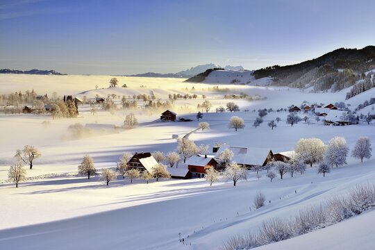 Snow-covered winter landscape with morning fog, Menzingen, Canton Zug, Switzerland