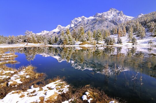 Schwarzsee or Lai Nair with snow-covered larch forest, Tarasp, Engadin, Graub&uuml;nden, Switzerland