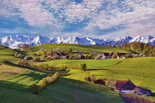 Farmhouses near Belpberg, view of snowy Bernese Alps, Canton Bern, Switzerland