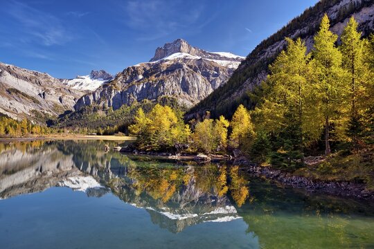 Reflection of the mountains and autumnal larches in Lac de Derborence, Canton Valais, Switzerland