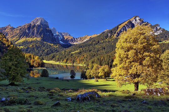 Obersee in autumn, behind it mountain Br&uuml;nnelistock, Canton Glarus, Switzerland
