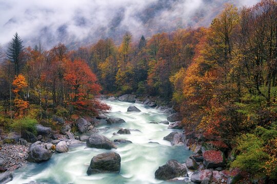 Verzasca river lined with autumn-coloured deciduous trees, rainy and foggy Verzasca valley, Canton Ticino, Switzerland