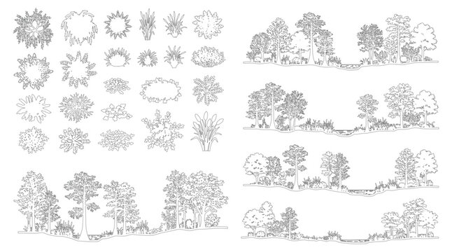 Minimal CAD Landscape Elements & Tree Section Drawings, Vector Outline Set for Architecture & Design