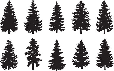Fototapeta premium Fir trees silhouette vector set, black evergreen pine forest, woodland nature landscape