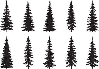 Obraz premium Fir trees silhouette vector set, black evergreen pine forest, woodland nature landscape