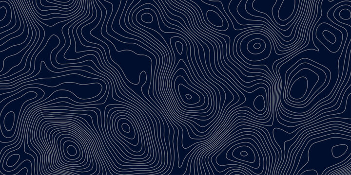 Abstract topographic map background in dark blue with white and light gray contour curves creating organic terrain elevation pattern, seamless geographic relief vector texture design.