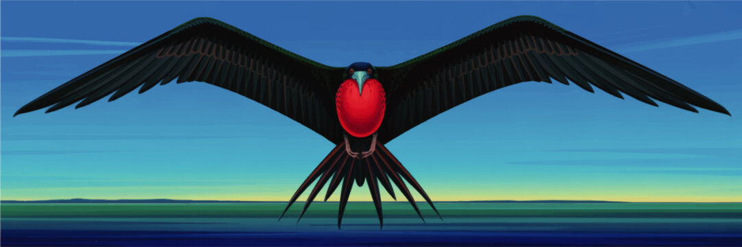 Majestic frigate bird with red throat soaring over tropical ocean at sunrise, wide panoramic sky, bold wildlife illustration