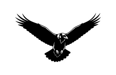 Fototapeta premium Raven in Flight Silhouette