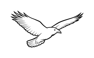 Fototapeta premium Raven in Flight