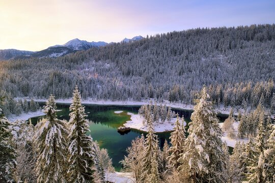 Wintery Lake Cauma in the snowy forest at sunrise, near Flims, Canton Graub&uuml;nden, Switzerland
