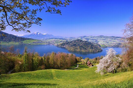 View of Lake Zug with Chiemen peninsula, behind it Mount Pilatus, Cantons Zug, Schwyz, Lucerne, Switzerland