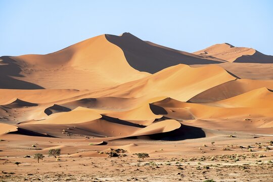 Red sand dunes, Sossusvlei region, Namib Desert, Namib-Naukluft National Park, Namibia