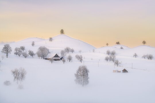 Snow-covered hilly landscape with ground fog at dawn, Menzingen, Canton Zug, Switzerland
