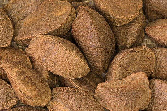 Brazil nut (Bertholletia excelsa), fruits, nuts, with shell, unshelled, Germany
