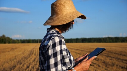 Fototapeta premium Adult farmer using digital tablet at wheat meadow on sunny day. Female agronomist monitoring harvest at barley field. Beautiful scenic landscape. Concept of agricultural business. Slow motion