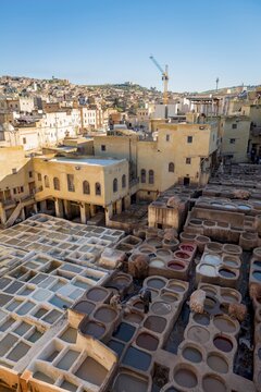 Worker dyeing leather, basin with paint, dyeing, tannery Tannerie Chouara, tanner and dyer quarter, Fes el Bali, Fes, Morocco