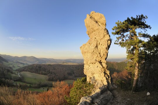 Arnstein rock spire at sunset, Triestingtal valley, Lower Austria, Austria, Europe