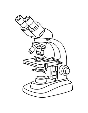 Laboratory compound microscope with two eyepieces and a stable base, minimalist elegant black line art illustration, isolated on a