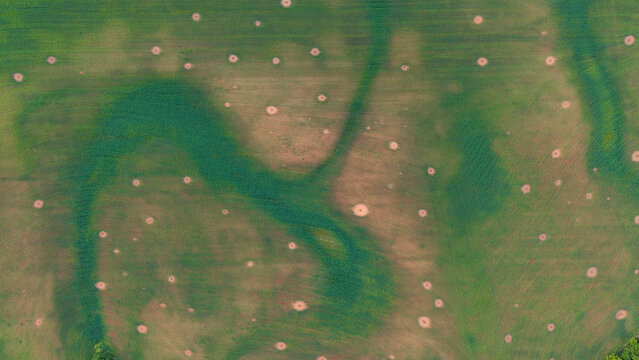 Aerial top-down view of green agricultural field with unique circular soil spots, abstract organic pattern and precision farming texture.