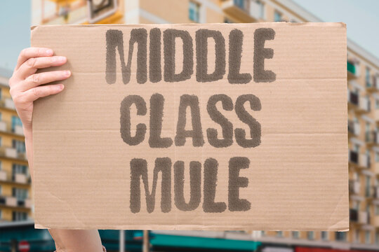 "Middle Class Mule" Middle earners carry a disproportionate share of the national tax burden. MIDDLE. EARNERS. DISPROPORTIONATE. NATIONAL. BURDEN.