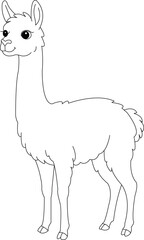 Obraz premium vicuna coloring page for kids