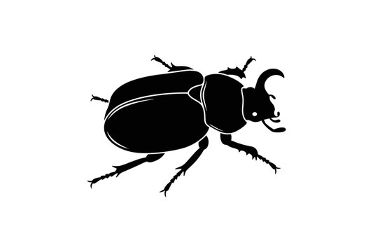 Black Scarab Beetle Silhouette