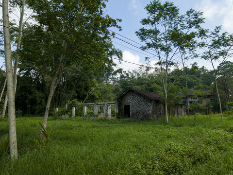 Aerial view of houses damaged by the Mount Merapi eruption surrounded by overgrown green grass and lush trees under a blue sky in Cangkringan, Special Region of Yogyakarta, Indonesia.