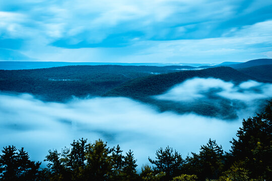 Fog creeps in and settles on the forest during a cloudy day