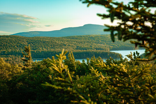 Looking through a tree towards the lake with the hills in the background