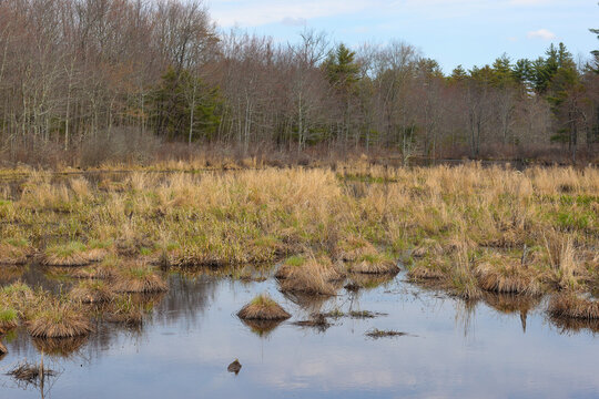 Abe Emerson Marsh, Candia, NH