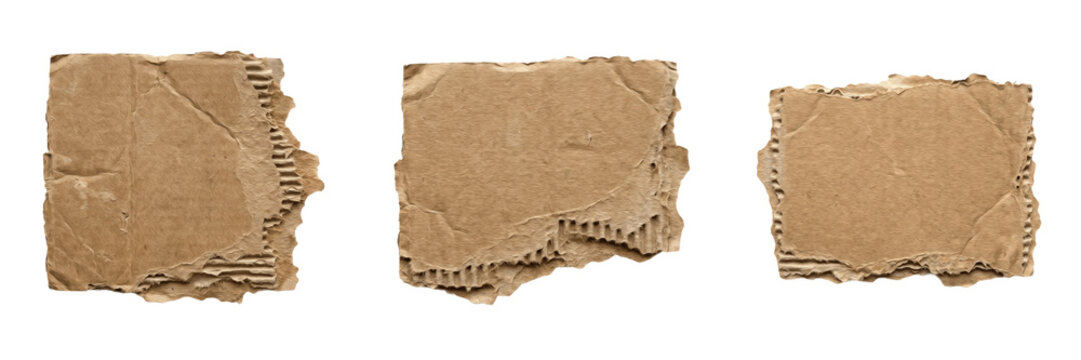 Set and collection of ripped piece of brown cardboard box material isolated on white background
