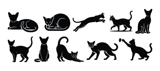 Fototapeta premium Minimal Black Abyssinian Cat Silhouette Set in Different Poses Vector Collection