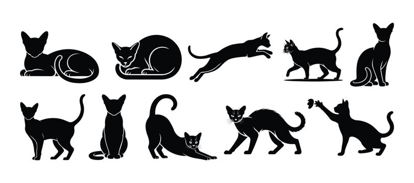 Minimal Black Abyssinian Cat Silhouette Set in Different Poses Vector Collection
