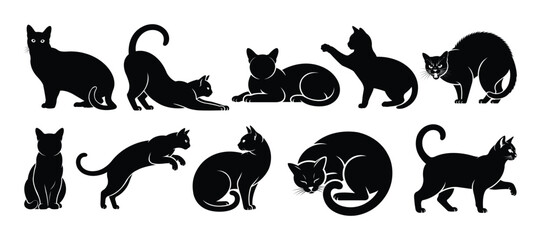 Obraz premium Burmese Cat Silhouette Collection – Elegant Short Hair Feline in Various Poses Vector Set