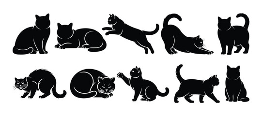 British Shorthair Cat Silhouette Collection – Cute Round Face Feline in Various Poses Vector Set © Toufik